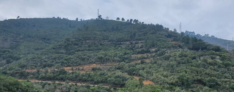 EPOS explora possibilidade de produção de metal tungsténio em Viseu